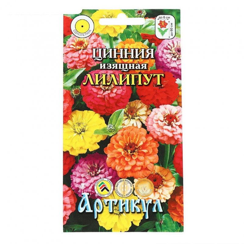 Цинния Клеопатра Вишневая