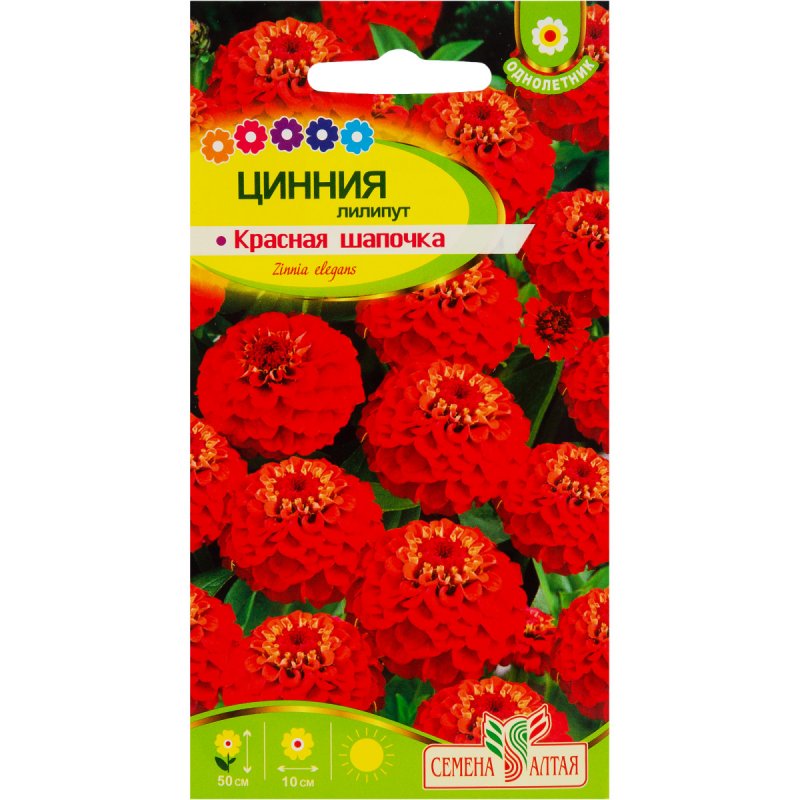 Цинния изящная георгиновидная