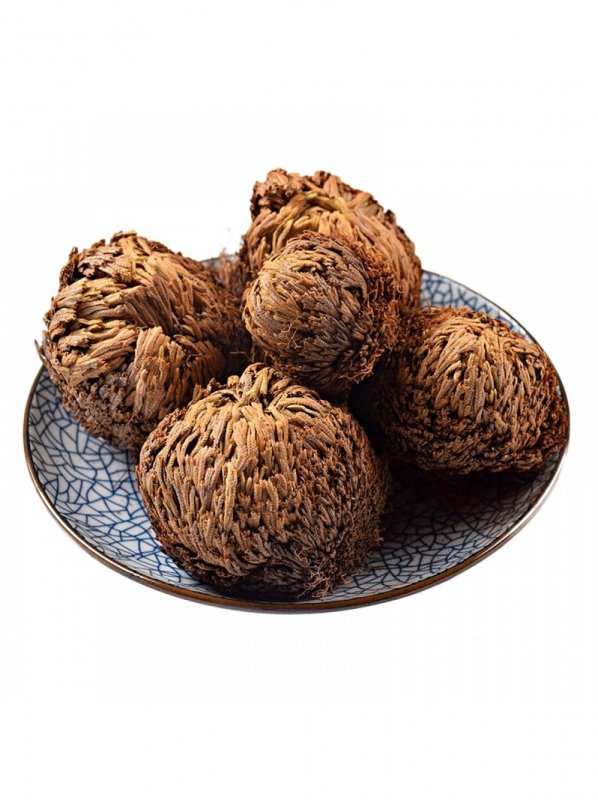 Rose of Jericho растение