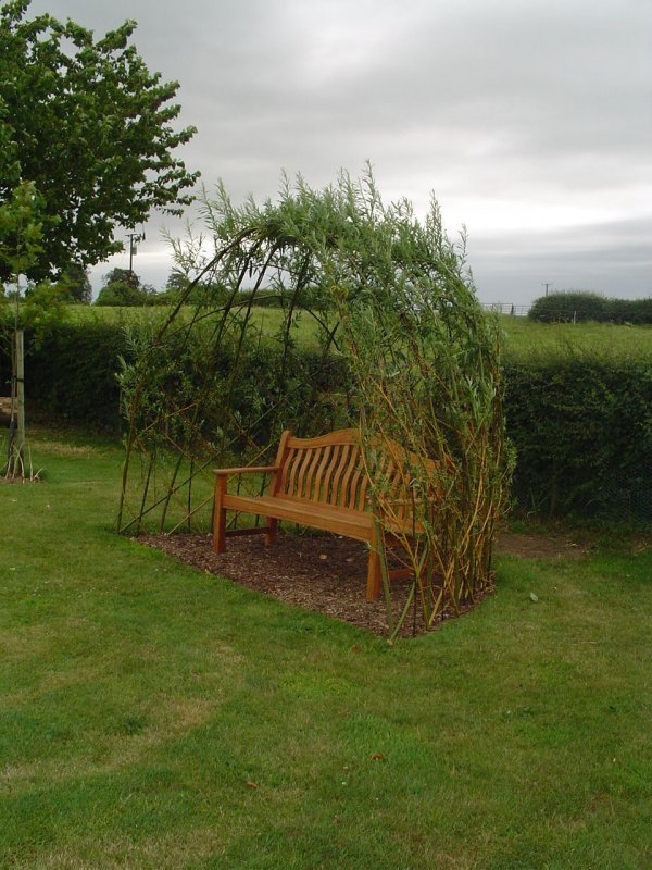 Willow Design из ивы