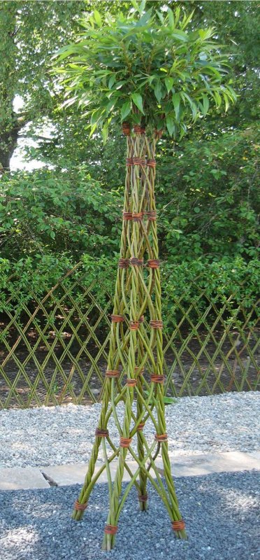 Сибирская Пальма из ивы