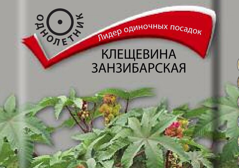 Клещевина обыкновенная Impala