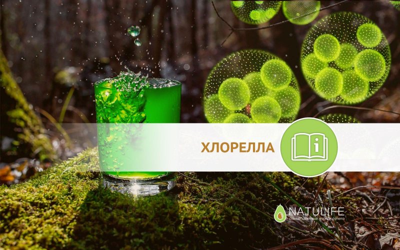 Спирулина и хлорелла