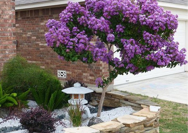 Little Trees Lilac артикул
