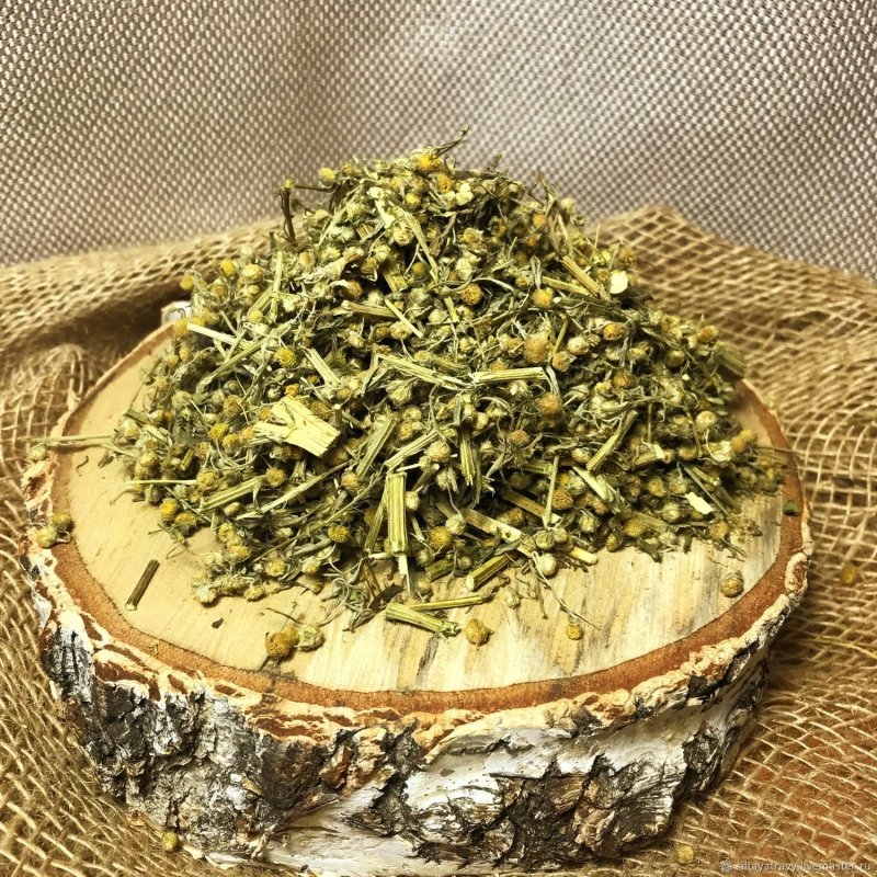 Полынь горькая семена