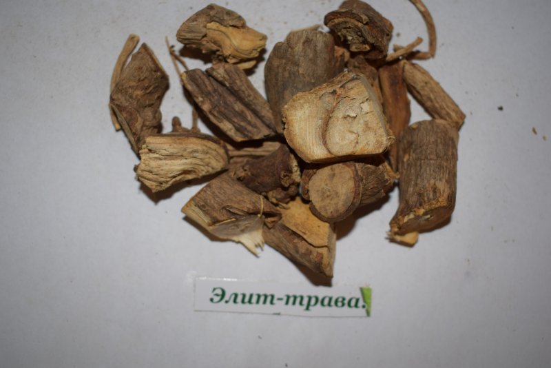 Заманихи корневища с корнями сырье
