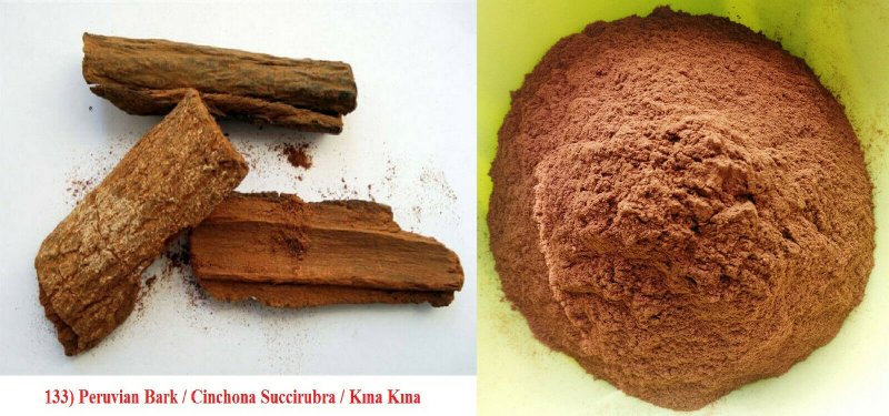 Chorisia speciosa Хоризия