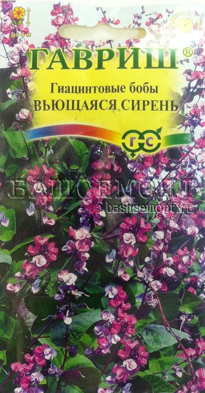Бобы Доличис гиацинтовые