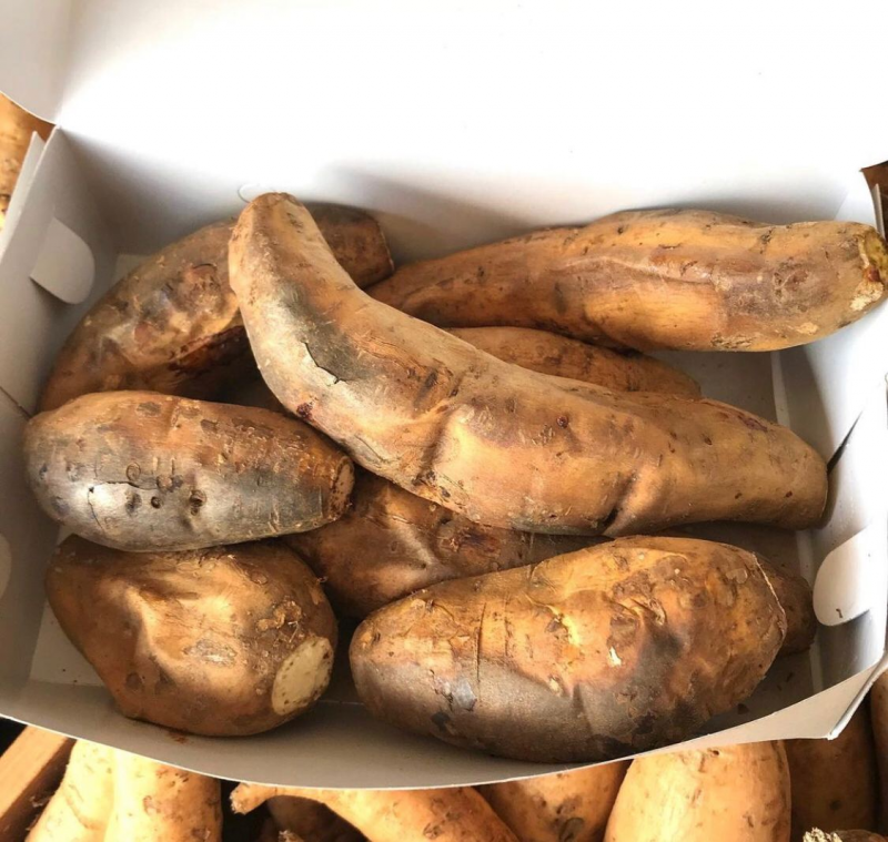 Картошка батат