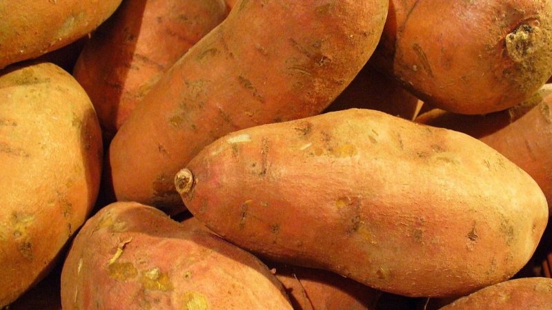 Ямс корнеплод