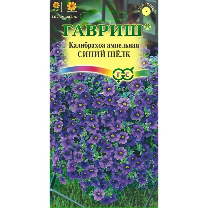 Гавриш калибрахоа ампельная синий шелк