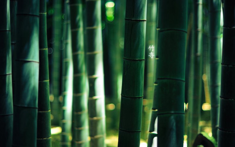 Серебристый бамбук, Bamboo Green, Bambusgruen