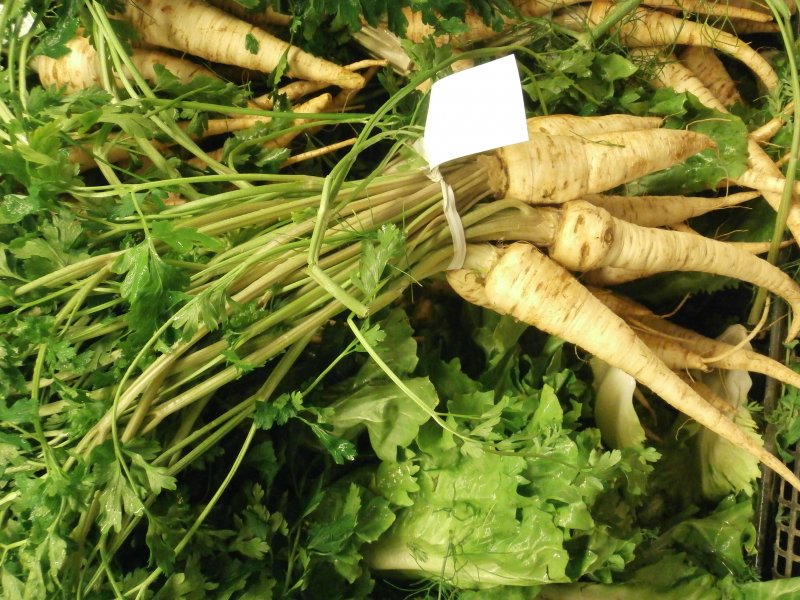 Пастернак ( Parsnip)