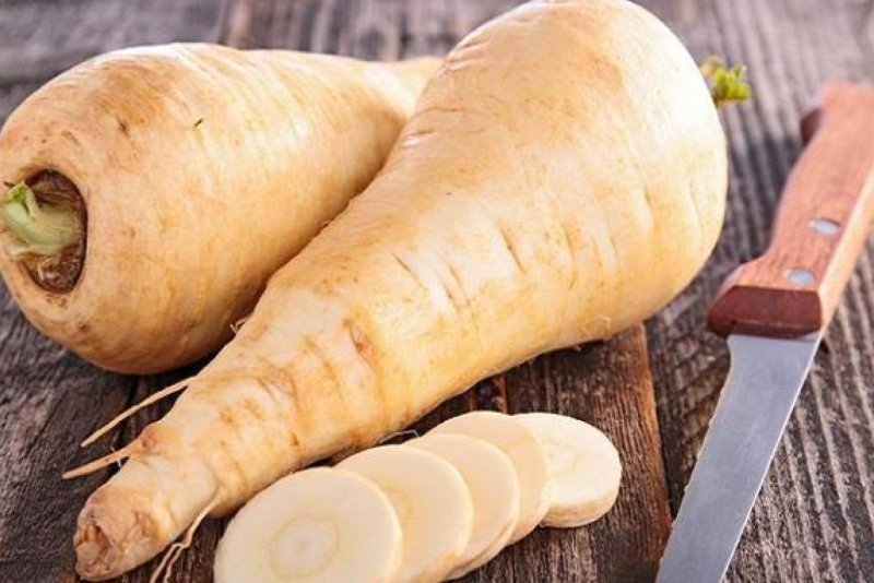 Пастернак Луговой растение
