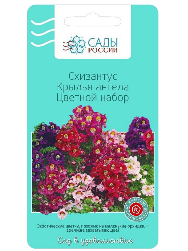 Немезия зобовидная