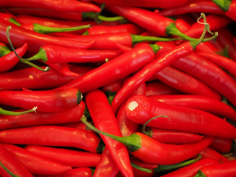 Capsicum Чили