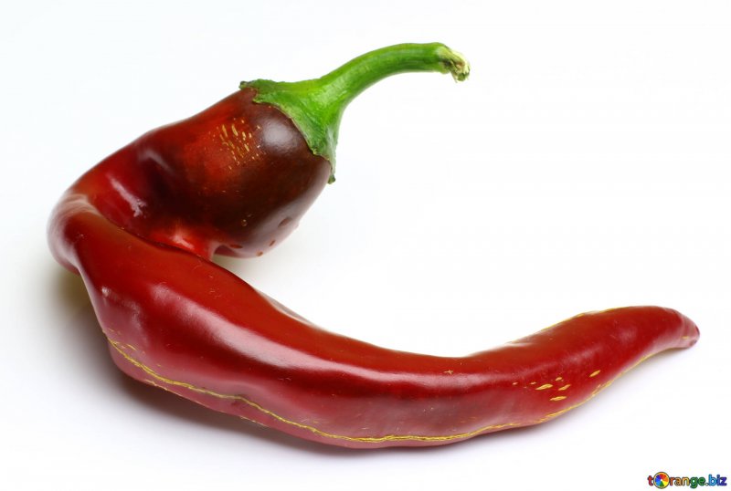 Перец сорт Capsicum frutescens