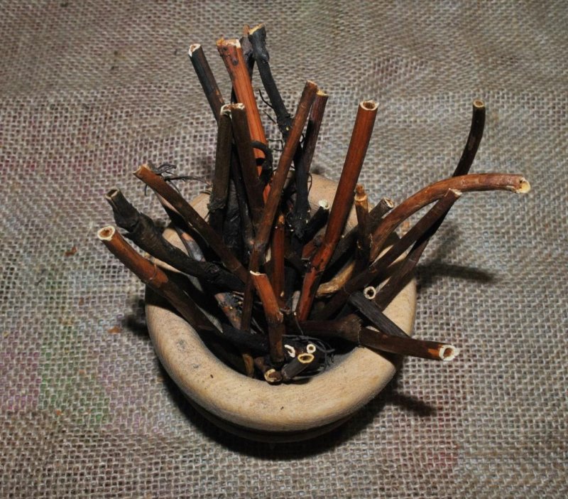 Сабельник болотный (Comarum palustre)