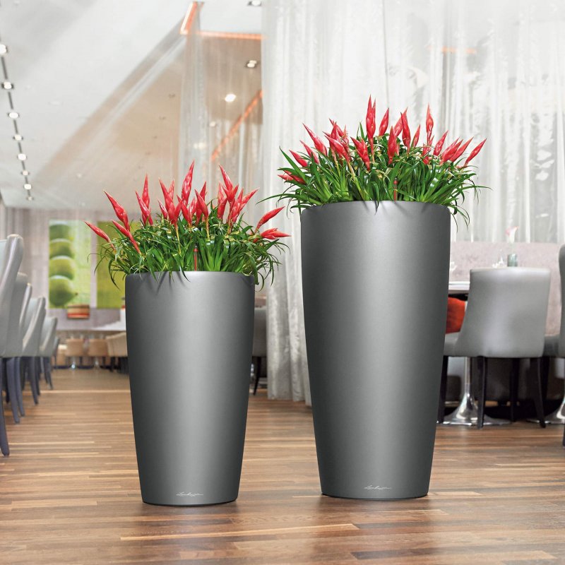 Lechuza cubico 30 Premium цвета