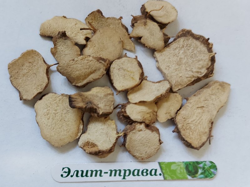 Rhizoma происхождение
