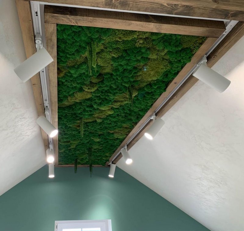 Плиты Baux