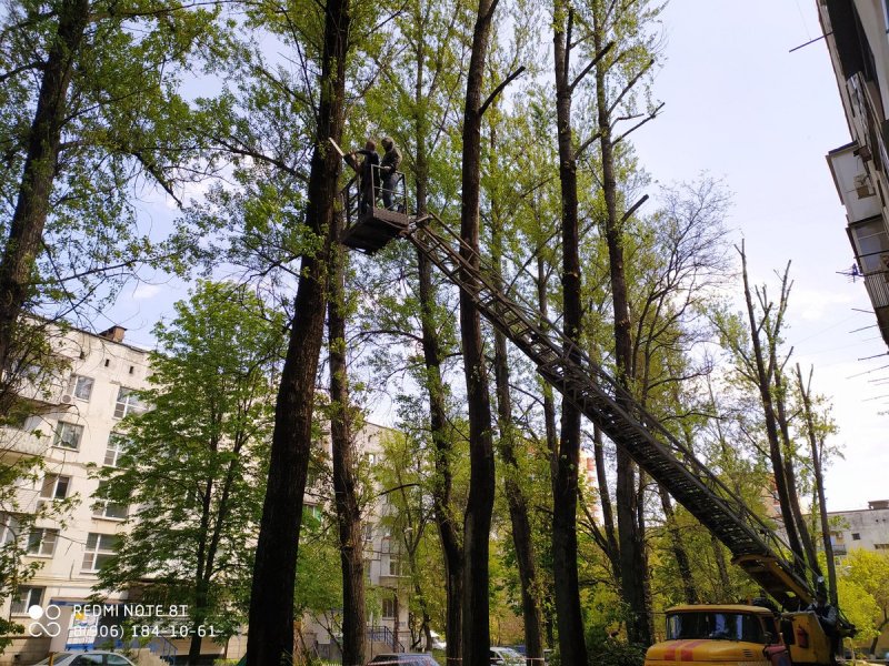 Парк «черный Тополь»