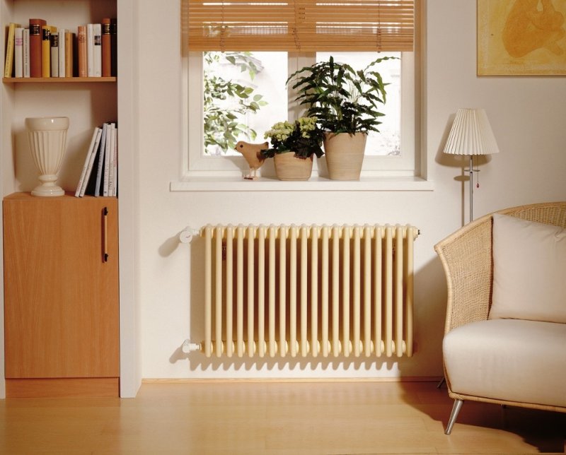 Радиаторы Zehnder 2056/22