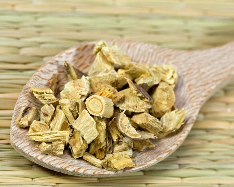 Горошек мышиный (Vicia cracca)