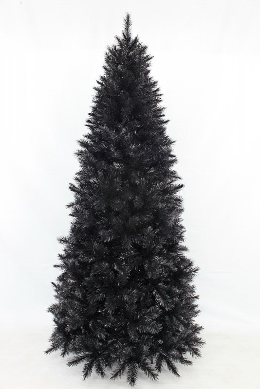Ель черная Picea Mariana