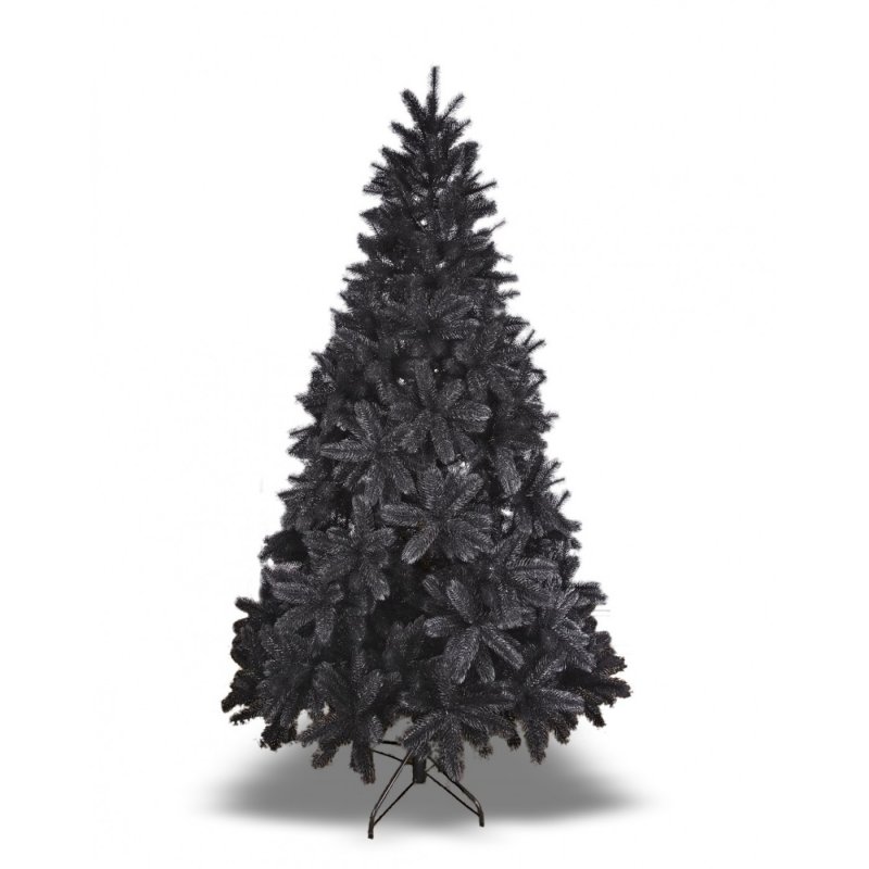 Picea Mariana Beissneri