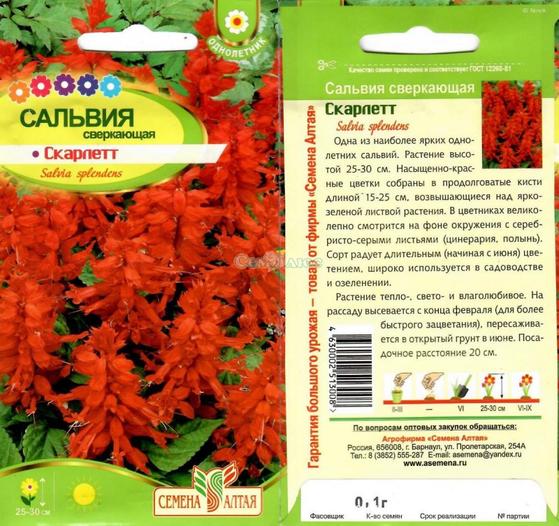 Сальвия сверкающая Скарлет семена