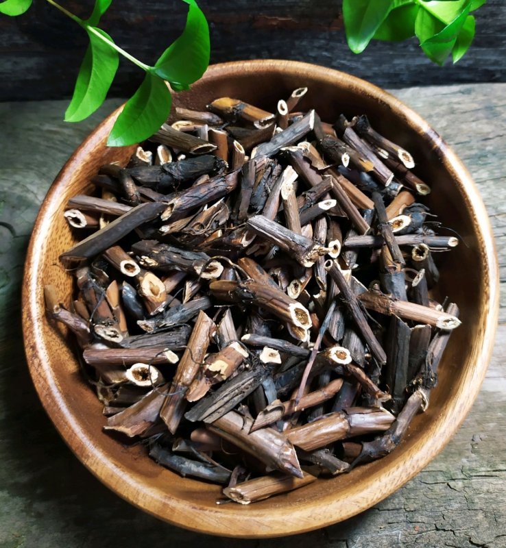 Comarum palustre листья