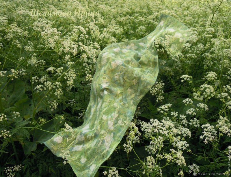 Сныть кашмирская