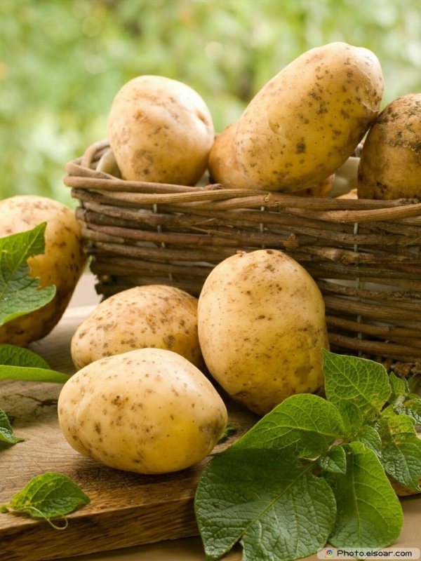 Красивый картофель