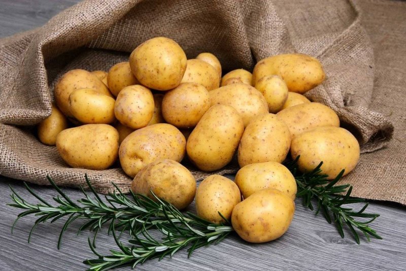 Семенной картофель Латона