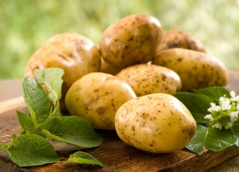 Картофель Лорх