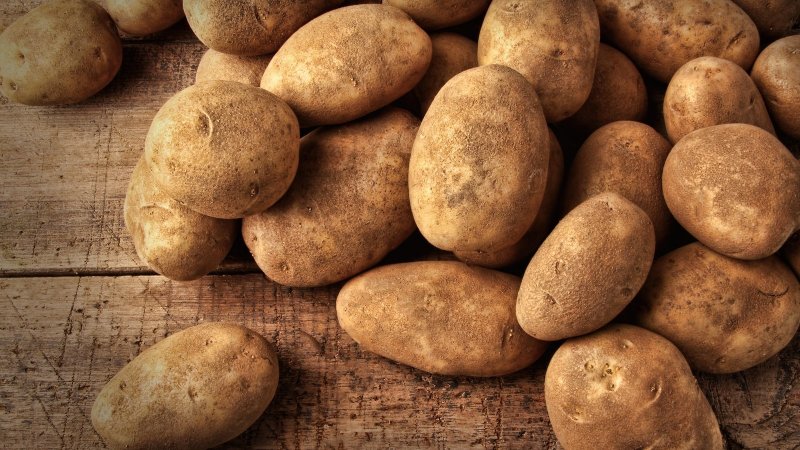 Сорт картофеля Лорх