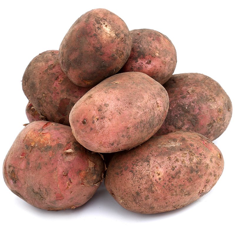 Сорт картофеля Скарлет