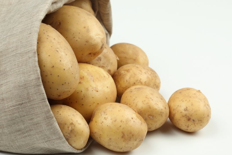 Картофель сорт Родриго