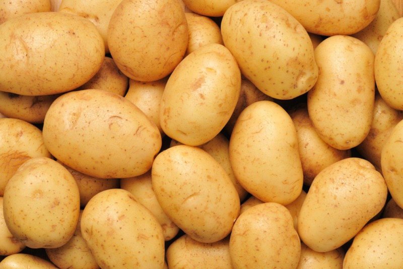 Сорт картофеля Бриз