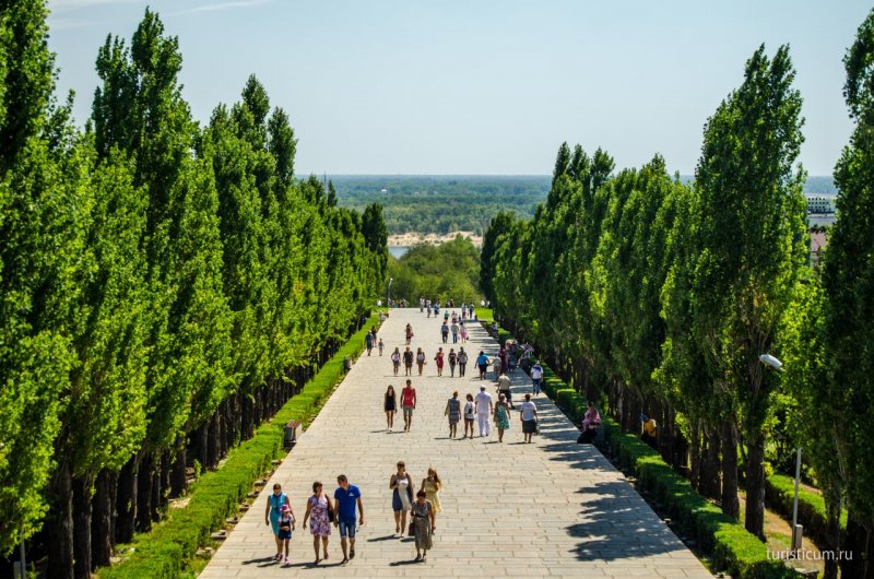 Аллея тополей на Мамаевом Кургане