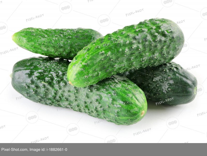 Сорт Нежинский огурец