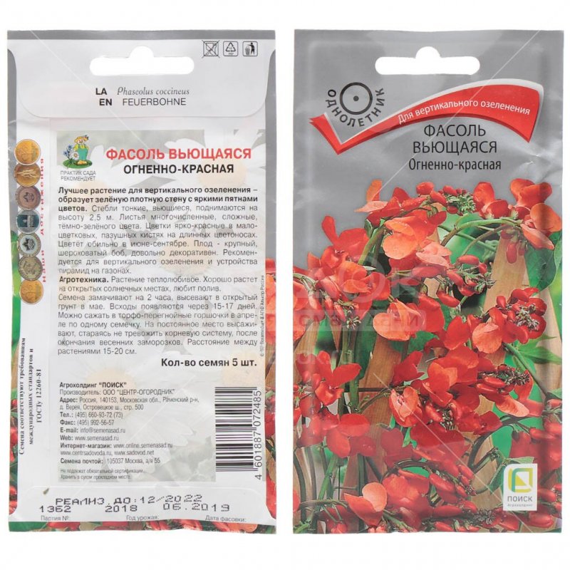 Phaseolus coccineus