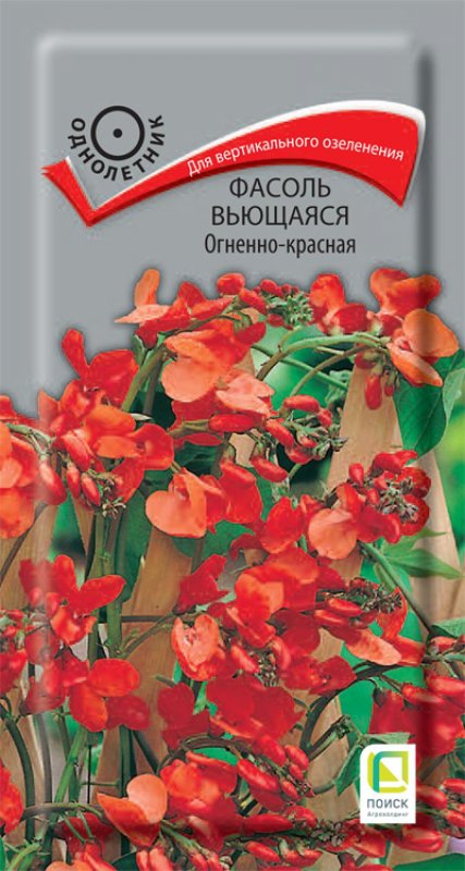 Фасоль вьющаяся огненно-красная семена