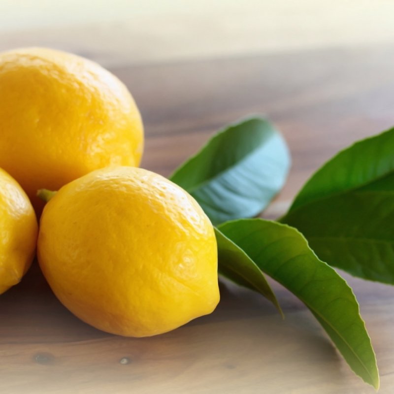 Citrus Limon