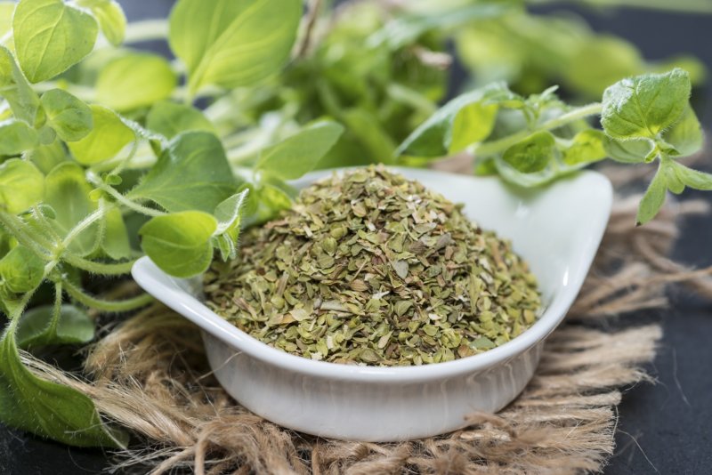 Origanum Majorana (майоран)