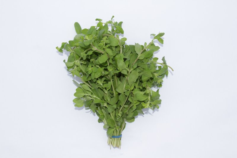 Origanum Majorana (майоран)