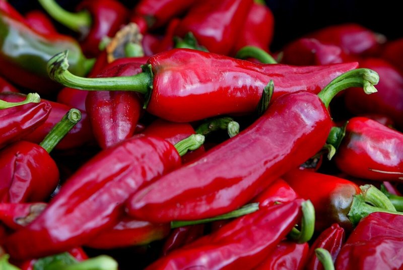 Jalapeno Чили