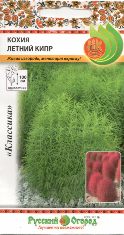 Семена кохия летний Кипр