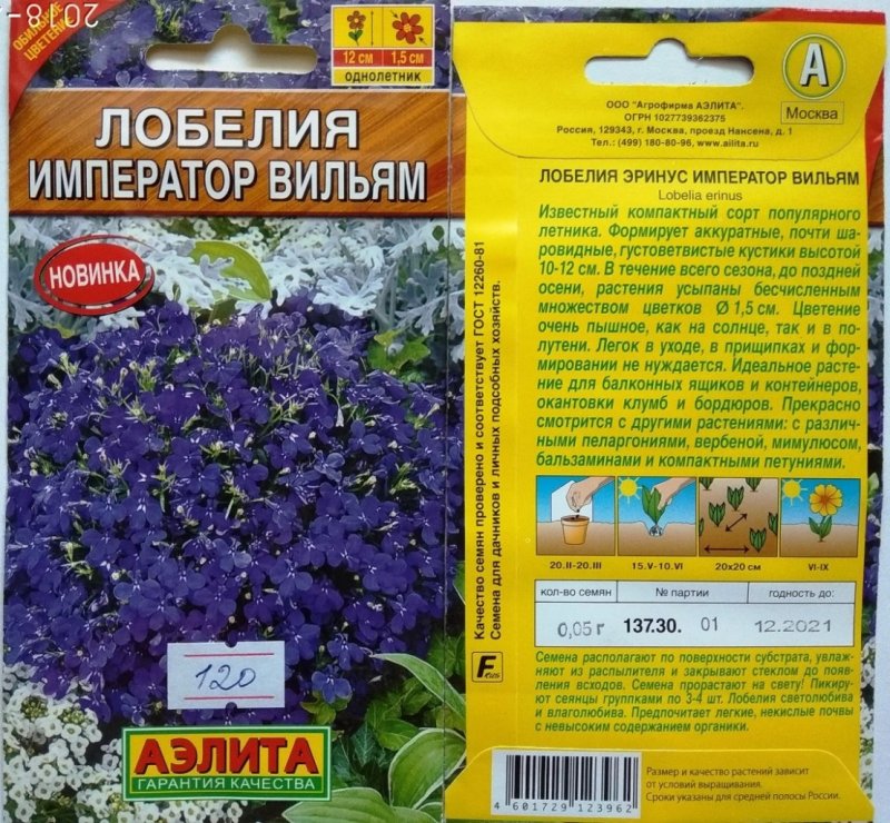 Лобелия эринус Император Вильям